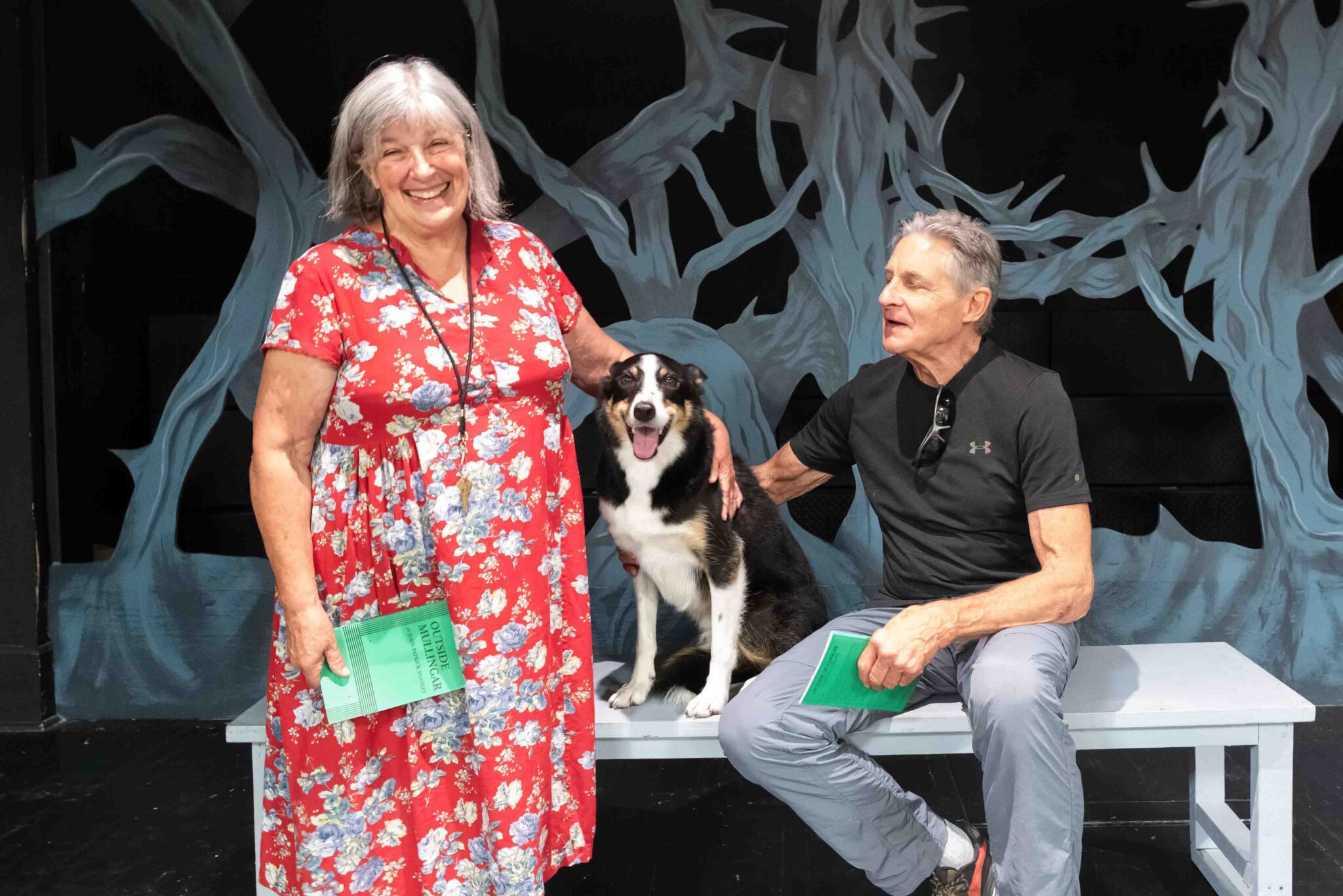 Linden House returns to the stage via rural Ireland Manor Park Chronicle