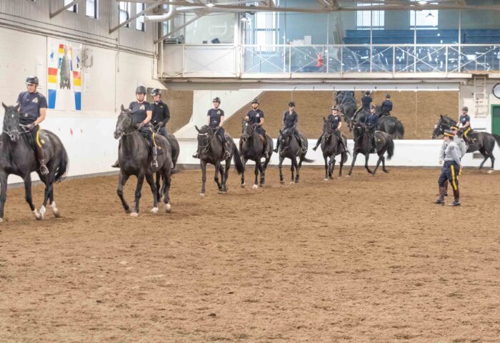 The RCMP Musical Ride officers hold a practice session in December in their stables and visitor centre. For the first time since 2020, and coinciding with the 150th anniversary of the RCMP, the Musical Ride is holding its open house and food drive event Saturday February 4. See page 5 of this edition for more details. Photo: Doug Banks