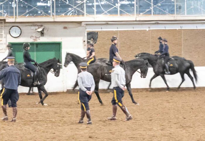 Members of the RCMP Musical Ride practice in their headquarters on 1 Sandridge Rd. The RCMP Musical Ride is holding its open house and food drive in February for the first time since 2020. Photo: Doug Banks