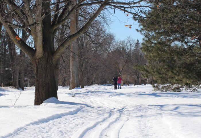 The evolution of neighbourhoods is complicated but when neighbourhoods work, their residents are happy with the local amenities, like these ski trails accessible at Mile Circle. Photo: Marie-Frédérique Caron
