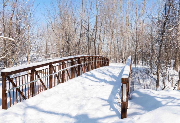 The Blasdell Bridge was installed last fall and still needs a name. The NCC, Manor Park Community Council and Manor Park Community Association are seeking suggested names from the public. A shortlist of proposed names will be presented publicly in May. Photo: Doug Banks