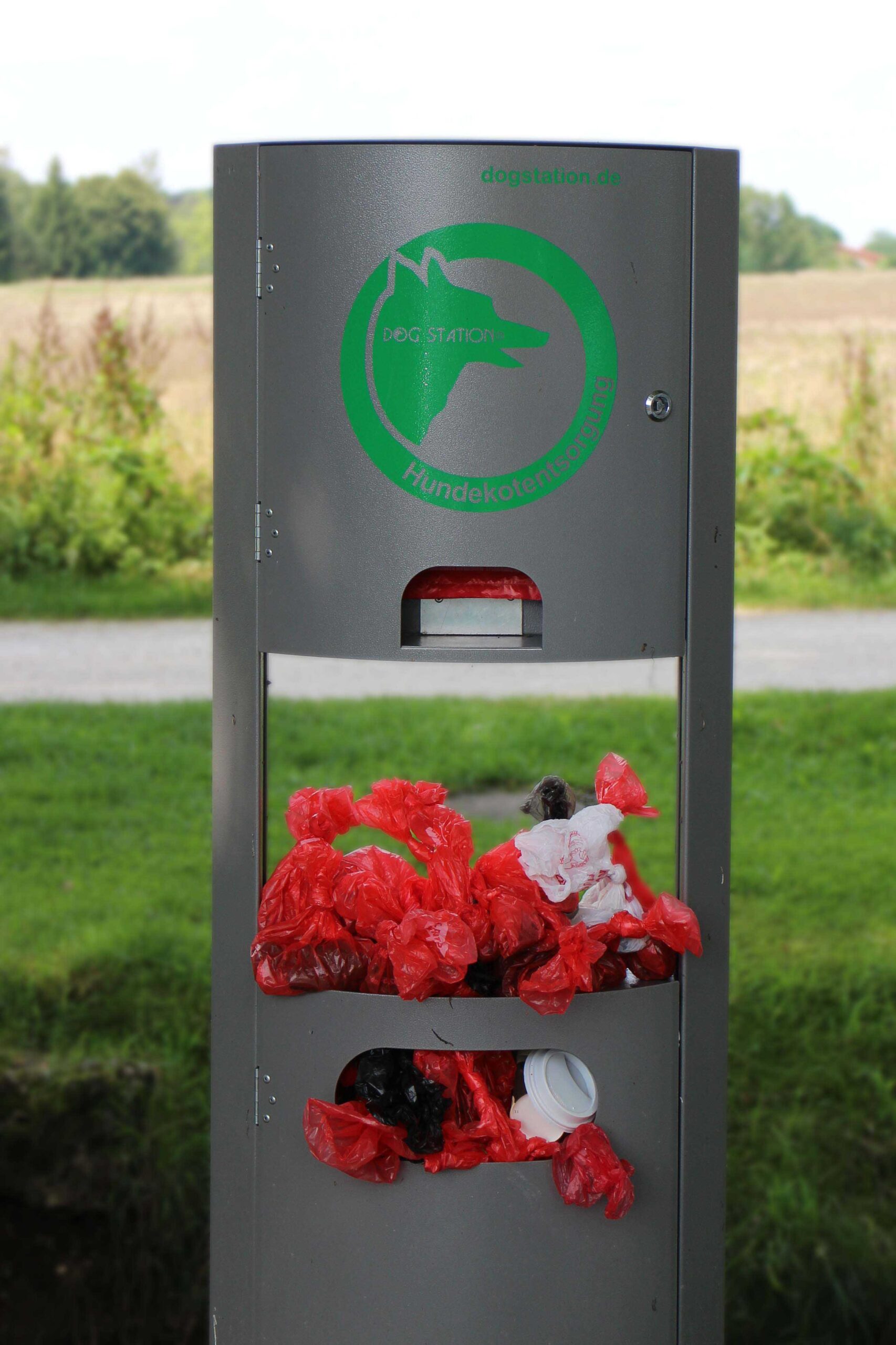 Different cities, regions and countries manage their dog waste in their own ways. Some install dedicated bins for dog feces so that it can disposed of in a way that doesn’t damage the environment or end up in a landfill. The City of Ottawa dictates that dog owners dispose of their beloved companion’s waste “on his or premises” (i.e., flush it down the toilet where it will be treated by the sewage plant). However, few seem to follow this bylaw. Photo: Manfred Antranias Zimmer from Pixabay