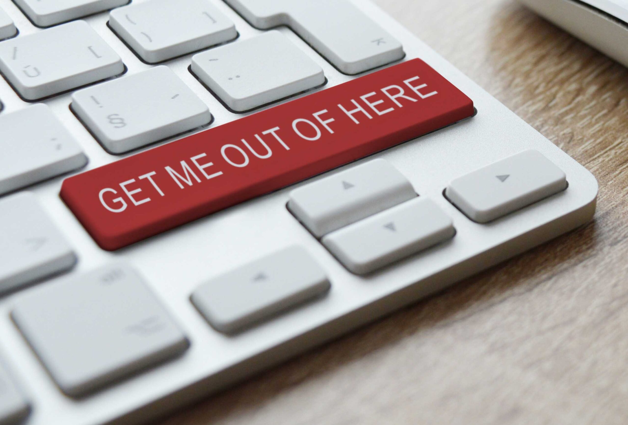 Online fraud and scams, including cyber threats like phishing, are costing Canadians a lot of money. Accordin to the Canadian Anti-Fraud Centre, in 2022 there were 70,878 reports of fraud in Canada with over $530 million stolen. Image by Andrew Martin from Pixabay
