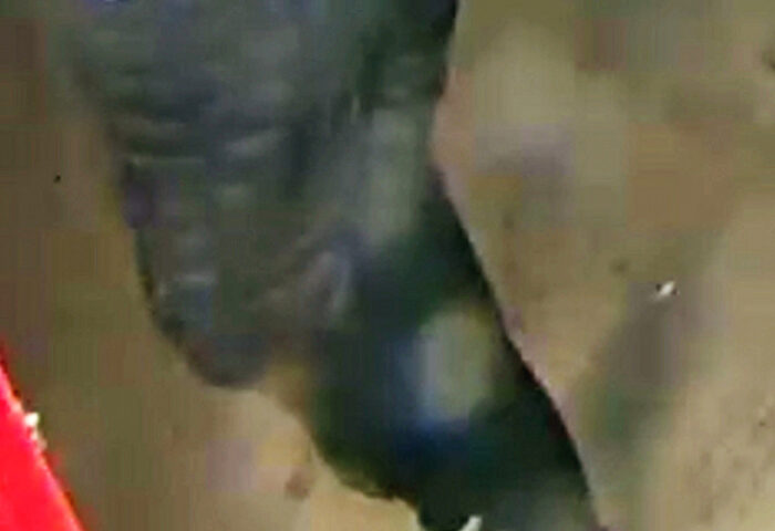 Ottawa Police issued this image, asking for the public’s help to identify a person of interest in connection with the Oct. 2 stabbing death on St. Laurent Boulevard. PHOTO: ottawapolice.ca