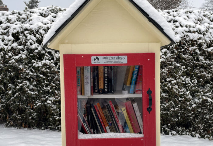 The newest Little Free Library is open for business along Farnham Crescent near Birch Avenue. PHOTO: SUBMITTED