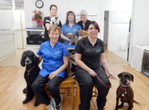 Gathered together are members of the grooming team at Your Pet Palace, 241 Olmstead Street in Vanier, including owner Diane Campbell (back row, far right), proudly accompanied by their newly groomed personal pets. PHOTO: SHARLEEN TATTERSFIELD
